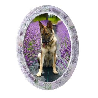 Image 71 Рамка для фото овальная 24.5х33 см, МДФ крашенный