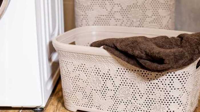 Які є види кошика