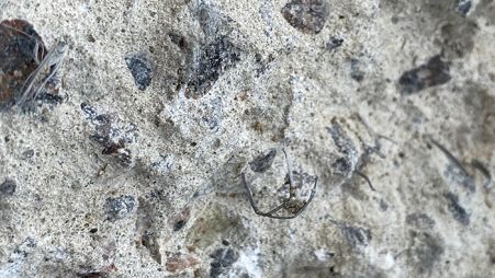 Image 6 Чому відшаровується верхній шар бетону