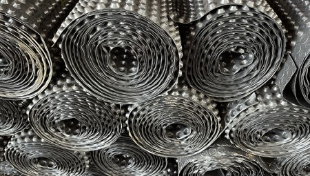 Image 9 Зачем нужна шиповидная мембрана