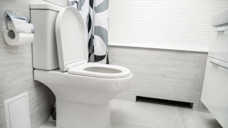 Image 14 Сиденье и крышка для унитаза