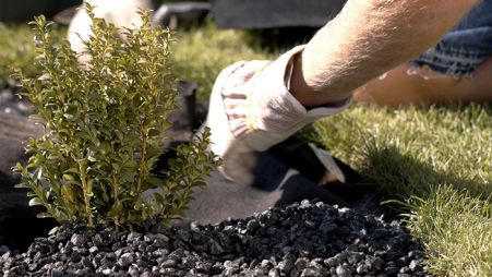 Image 2 Как выбрать  материал для борьбы со сорняками