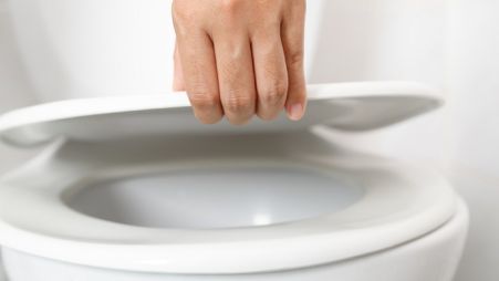 Image 11 Можно ли отремонтировать микролифт на крышке унитаза