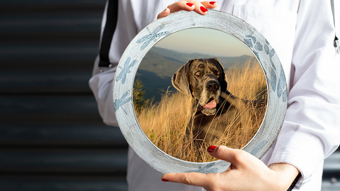 Круглі рамки із МДФ – коли форма створює настрій