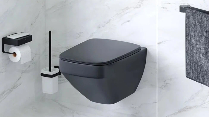 Види кришок для унітазу