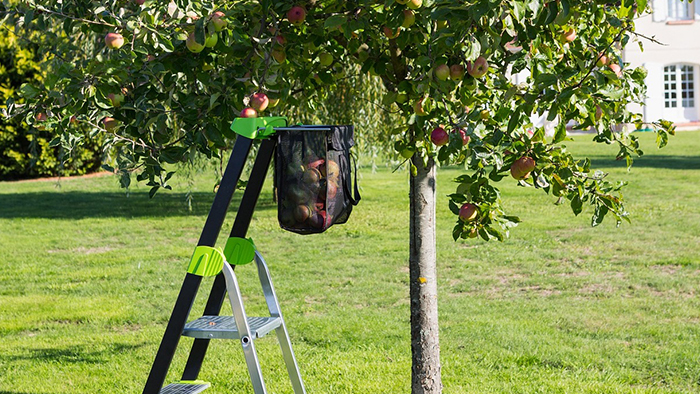 Як правильно вибрати висоту драбини