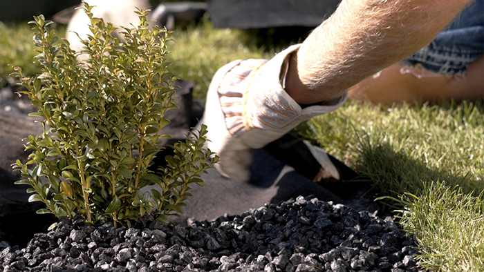 Як вибрати матеріал для боротьби з бур'янами